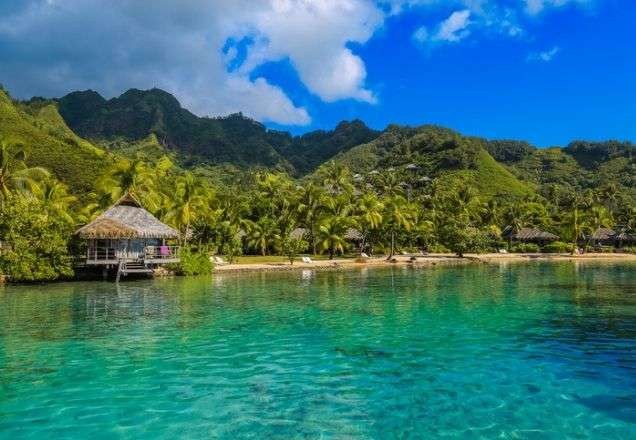 Imagem da noticia Terror no mar: mulher é atacada por tubarão na Polinésia Francesa