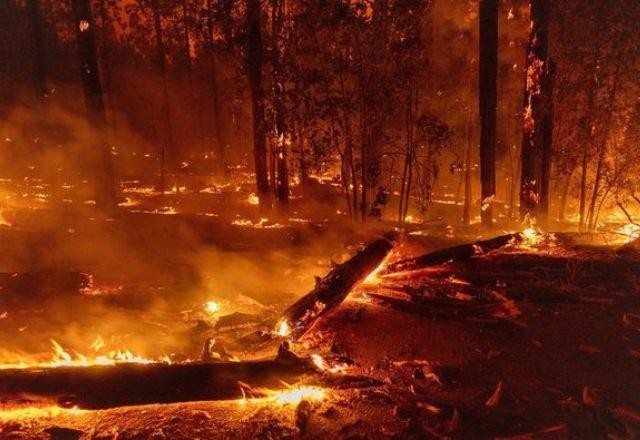 Imagem da noticia Incêndio florestal na Califórnia segue pelo quarto dia seguido