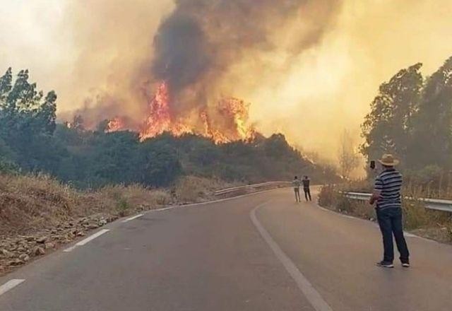Imagem da noticia Incêndios florestais na Argélia deixam 42 mortos, incluindo 25 soldados