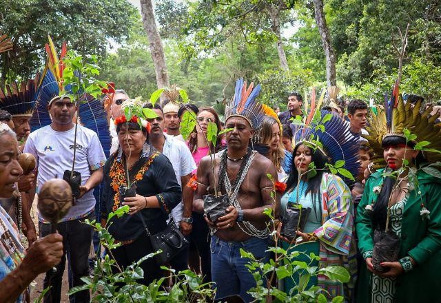 Imagem da noticia Câmara aprova urgência de projeto que dificulta demarcação de terras indígenas