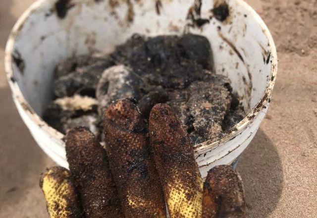 Imagem da noticia Óleo encontrado em praias do Nordeste não tem ligação com vazamento de 2019