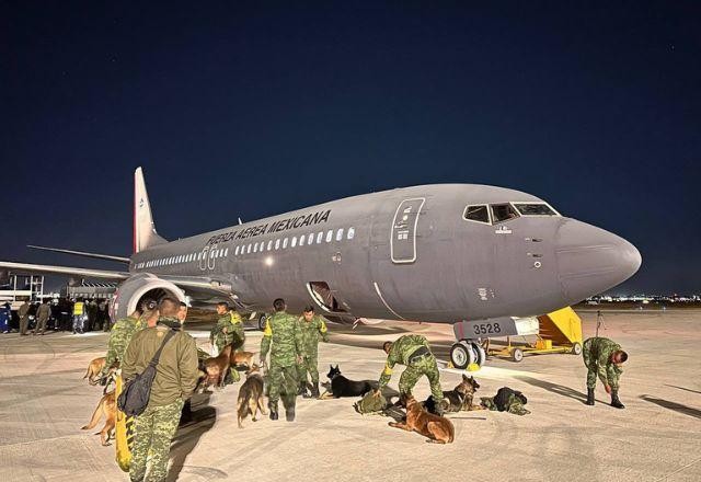 Imagem da noticia México envia cães para ajudar no resgate de vítimas na Turquia e Síria