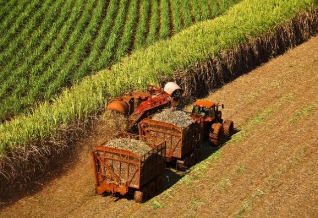 Imagem da noticia 30% do território nacional tem boa potencialidade ao desenvolvimento agrícola