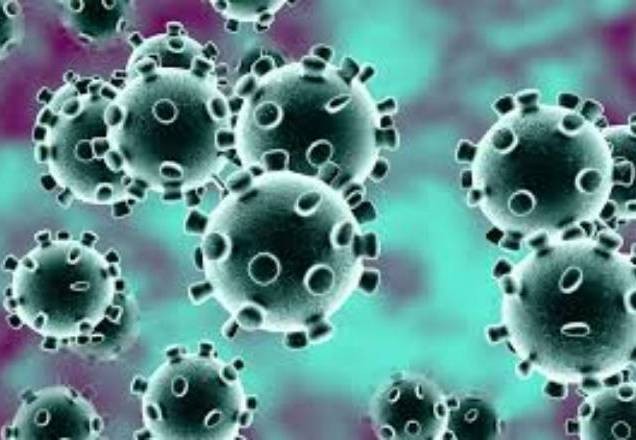 Novo coronavírus pode sobreviver por quase um mês no celular