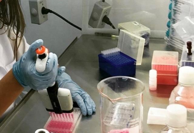 Imagem da noticia Pesquisadores criam composto para combater superbactérias