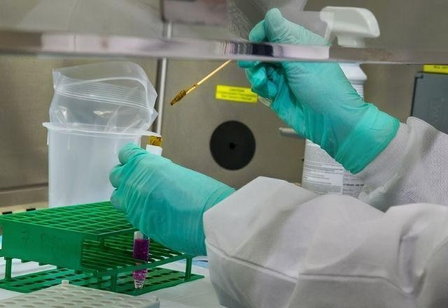 Imagem da noticia Covid-19: São Paulo identifica 85 novos casos da variante ômicron