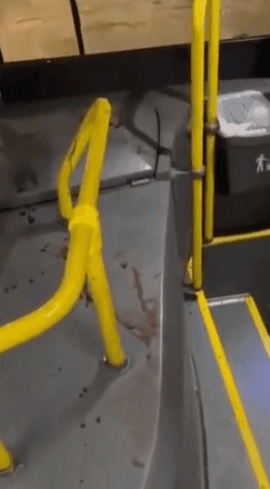 Imagem da noticia Torcedor do Vasco é morto após ser esfaqueado em ônibus no DF durante briga com rivais