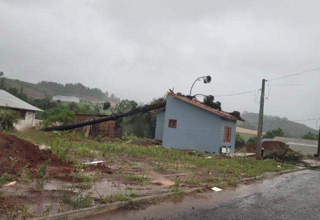 Imagem da noticia Ventos de mais de 80 km/h derrubam árvores e destelham casas no Oeste de Santa Catarina