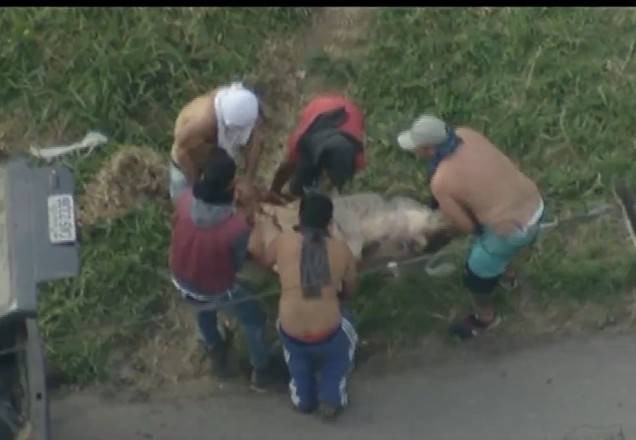 Imagem da noticia Vídeo: carne é saqueada de carreta tombada em São Paulo