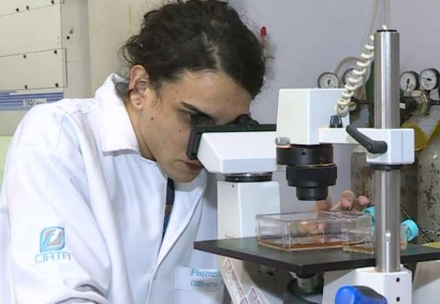 Imagem da noticia Vírus da Zika pode afetar cérebro de adultos, conclui pesquisa