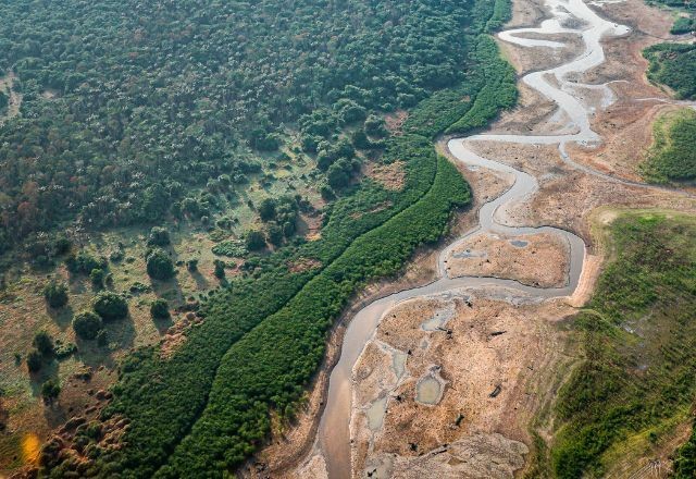 Seca no Brasil: 'Cientistas estão surpresos e muito preocupados', diz climatologista Carlos Nobre