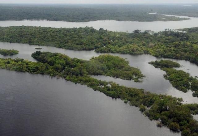 Desmatamento na Amazônia registra queda de 19% em novembro