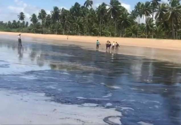 Imagem da noticia Voluntários apresentam reação por contato com petróleo no PE