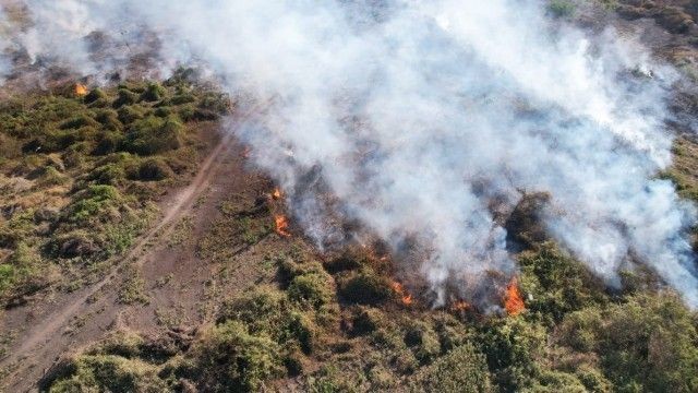 Bombeiros combatem seis focos de incêndios florestais no Pantanal (MS)