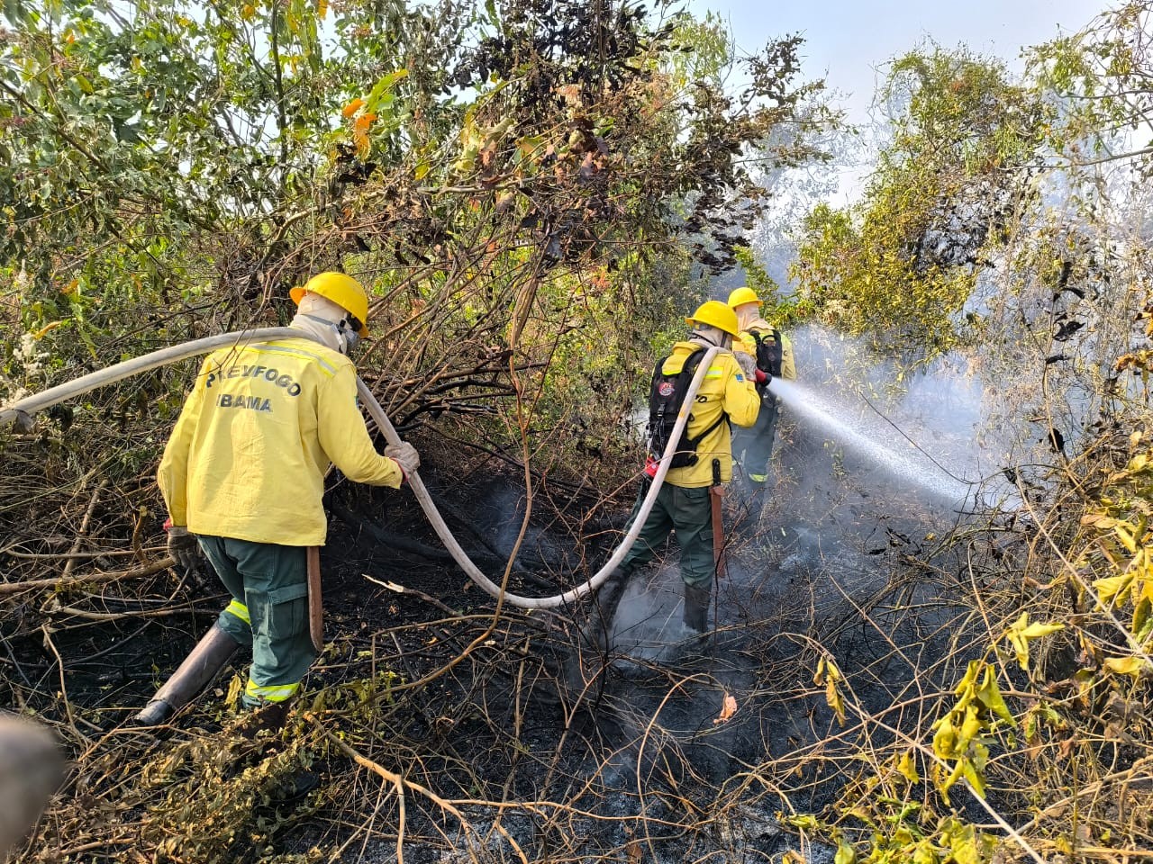 Ibama reforça atuação na fronteira com a Bolívia para combater focos de incêndios 