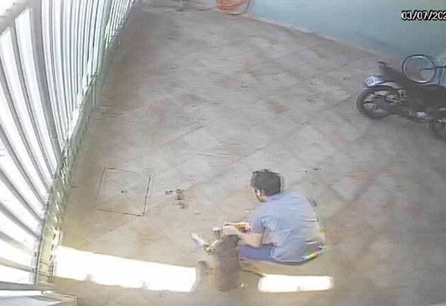 Imagem da noticia Câmeras flagram homem agredindo cachorros em Praia Grande (SP)