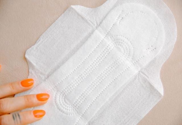 Imagem da noticia Bancada feminina se articula para derrubar veto a absorvente gratuito