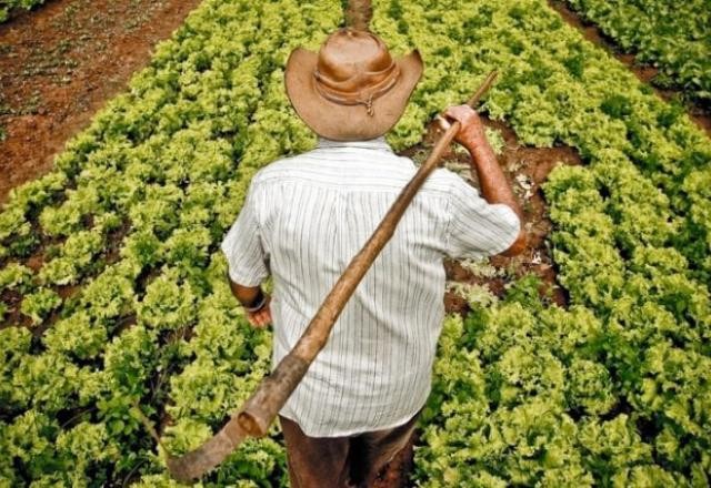 Imagem da noticia Lula promete igualdade salarial no Dia da Mulher e preços mínimos na agricultura 
