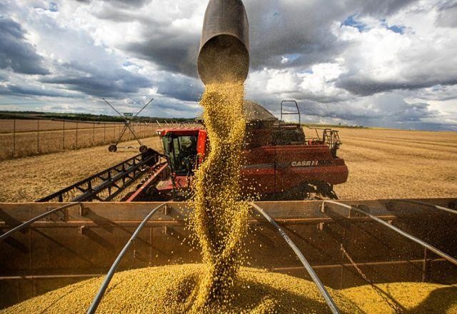 Imagem da noticia Brasil e Argentina atuam juntos na OMC para reduzir subsídios agrícolas