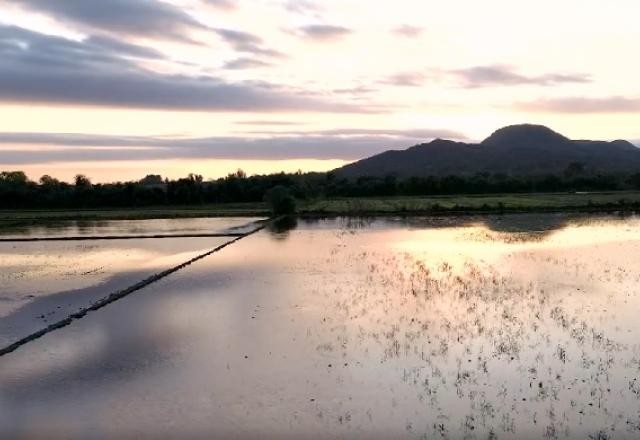 Imagem da noticia Agricultura e pecuária acumulam prejuízo bilionário por causa das chuvas no sul