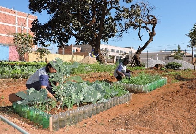 Imagem da noticia Lula sanciona lei que cria Política Nacional de Agricultura Urbana