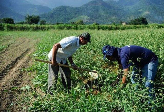Imagem da noticia Ao vivo: governo lança Plano Safra da Agricultura Familiar