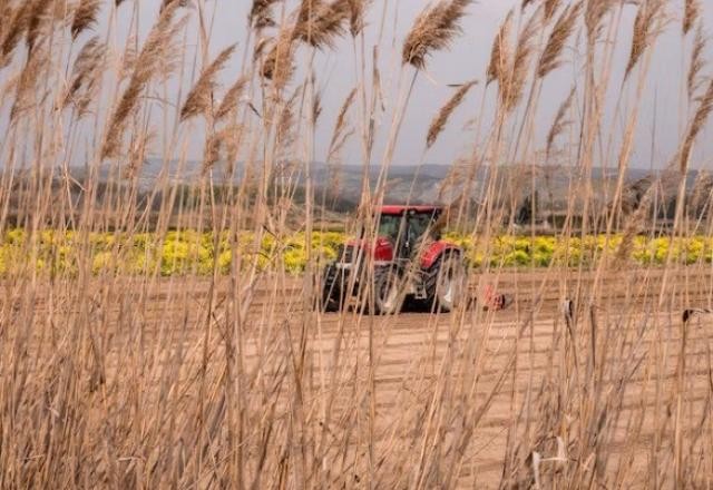 Agro registra queda de 1,37% do PIB no 3º trimestre