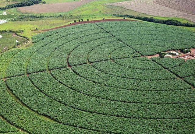 Imagem da noticia O agronegócio está pronto para absorver a pressão por compliance?