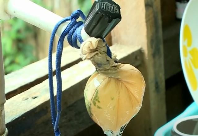 Imagem da noticia Justiça intima concessionárias de todo o país por qualidade da água