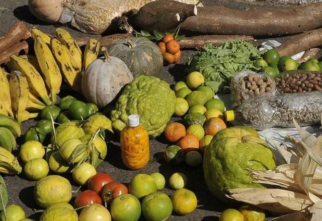 Imagem da noticia Volta do Programa de Aquisição de Alimentos é importante, dizem especialistas
