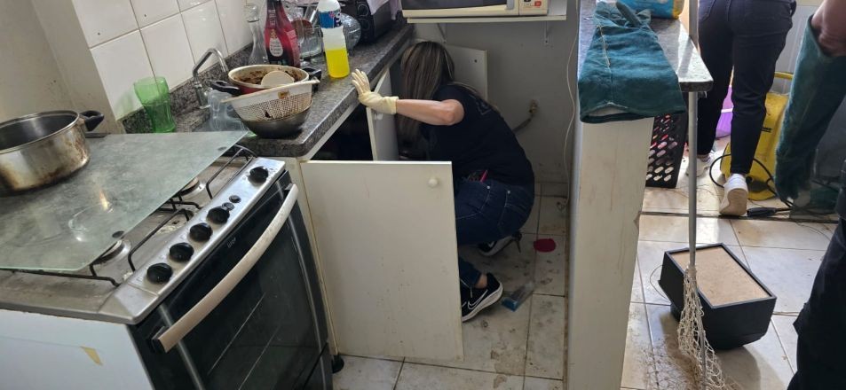 Imagem da noticia Mulher de 50 anos é presa por maus tratos contra animais no DF