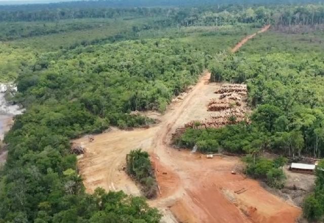 Imagem da noticia Amazônia perdeu 100 mil campos de futebol para o desmatamento ilegal, mostra estudo