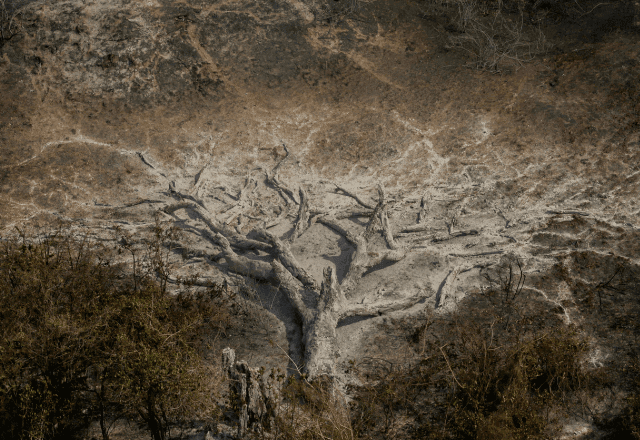 Imagem da noticia Brasil queimou 11 milhões de hectares de janeiro até agosto de 2024: "Aumento explosivo", diz Ipam