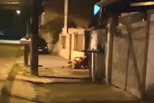 Imagem da noticia VÍDEO: Homem tenta matar mulher com agressões e ataque de cachorro