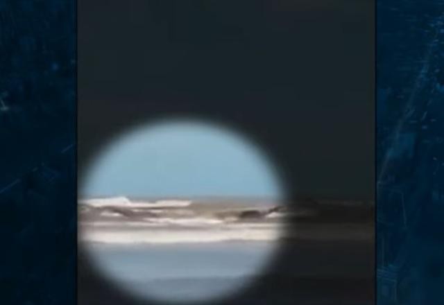 Imagem da noticia Prefeitura de Ubatuba investiga possível novo ataque de tubarão