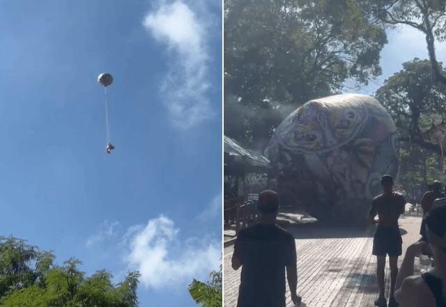 Imagem da noticia Balão cai dentro do Parque Ibirapuera, em São Paulo