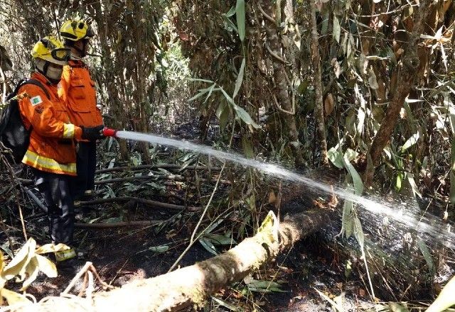 Imagem da noticia Queimadas: 9 governadores confirmam presença em reunião convocada por Lula 
