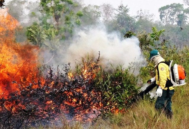 Imagem da noticia Ibama autoriza contratação de brigadas federais para combate a incêndios em municípios de 19 estados
