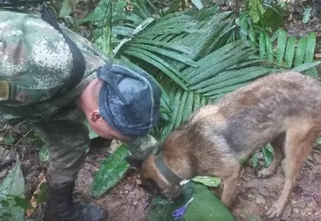 Imagem da noticia Exército busca crianças que sobreviveram à queda de avião na Amazônia