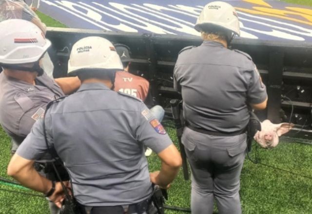 Imagem da noticia Polícia investiga como cabeça de porco foi parar no campo em jogo entre Corinthians e Palmeiras