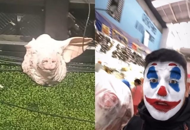 Imagem da noticia Torcedor que teria comprado cabeça de porco prestará depoimento nesta quarta