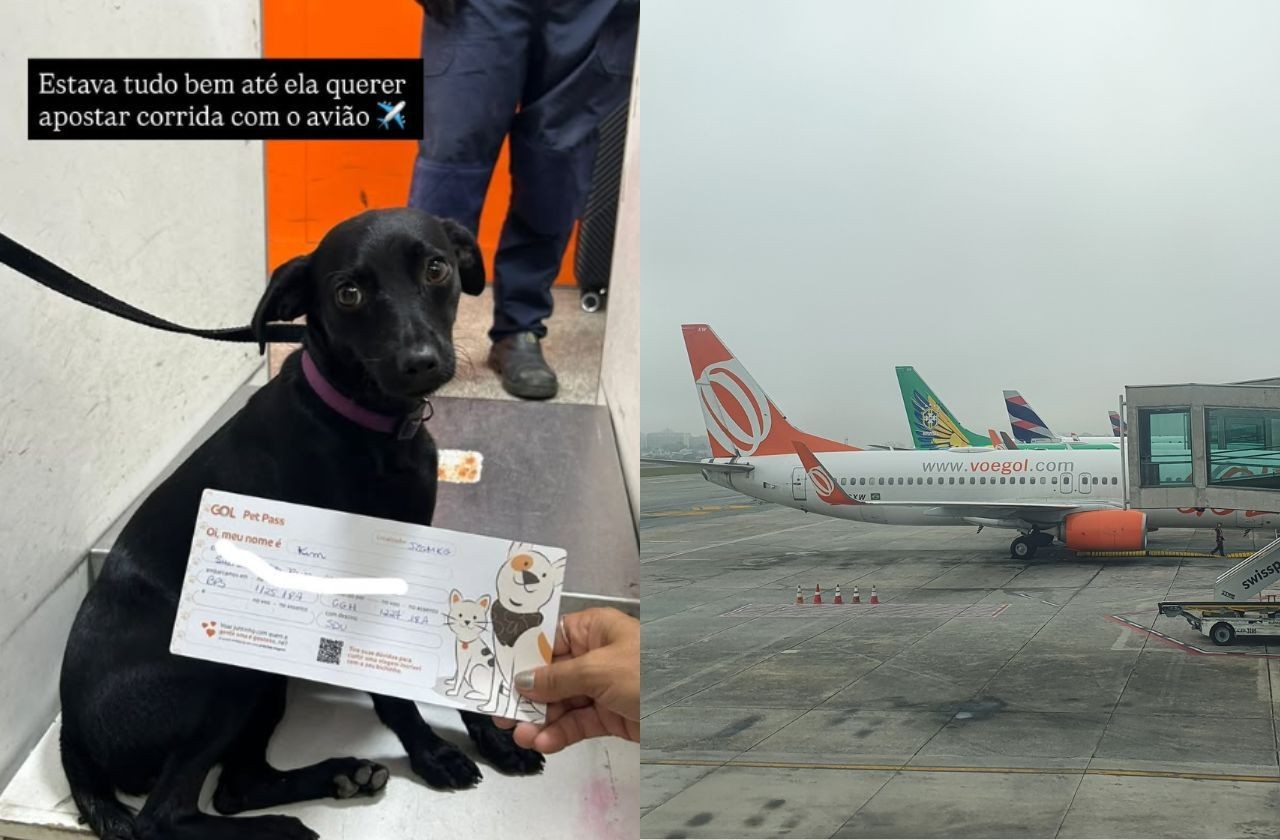 Imagem da noticia Cachorro invade pista e suspende operações no Aeroporto de Congonhas por 9 minutos