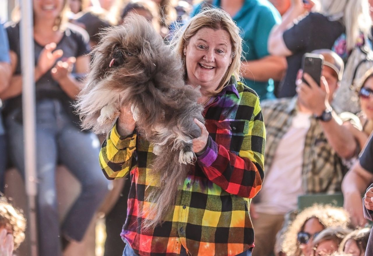 Imagem da noticia Pequinês é eleito o cachorro mais feio do mundo; veja fotos