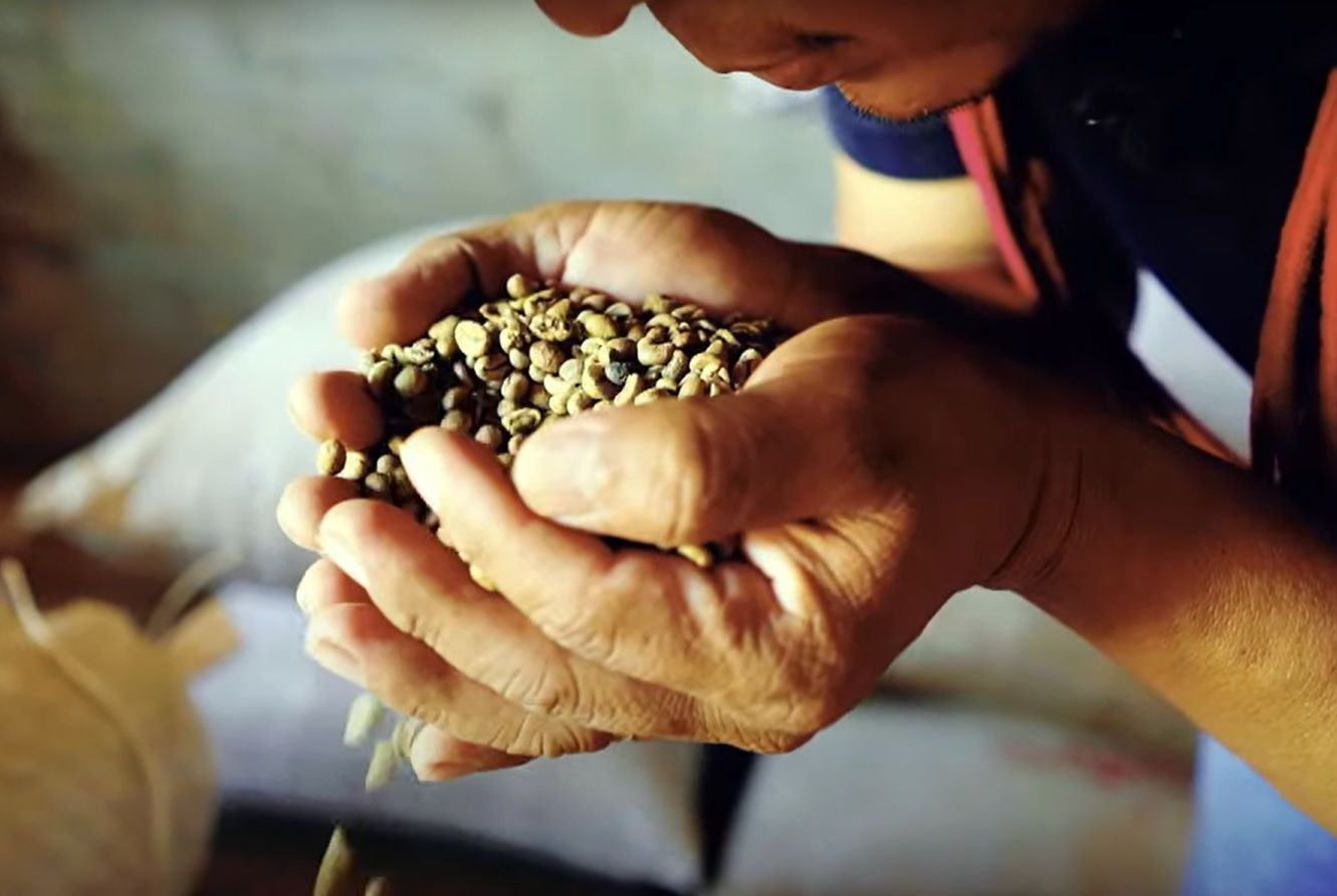 Imagem da noticia SBT Brasil apresenta série especial sobre o café, essa paixão mundial
