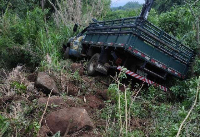 Imagem da noticia Vídeo: Caminhoneiro desmaia após picada de abelha e sofre acidente no sul