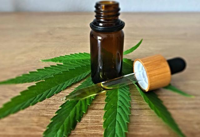 Imagem da noticia Rio terá fornecimento de medicamentos à base de cannabis pelo SUS