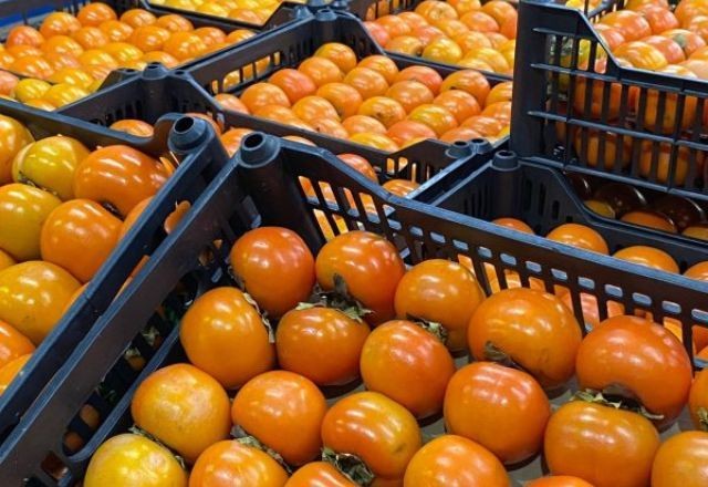 Imagem da noticia Caqui rama é o destaque da semana para compras em atacados