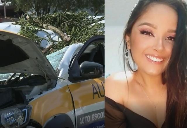 Imagem da noticia Jovem morre após árvore de 29 metros atingir carro de autoescola