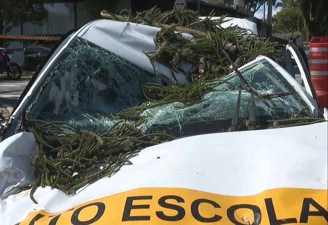 Efeitos de ciclone chegam a São Paulo; temporal deixa 2 vítimas