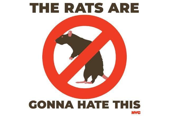 Prefeitura de Nova York oferece R$ 75 mil por mês para matar os ratos da cidade